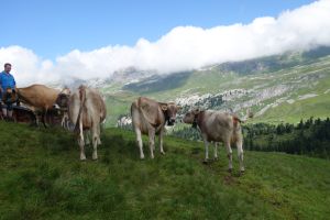 v.l. Nello  Macky  Lennox